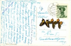 Saalbach-Hinterglemm, Multiansicht