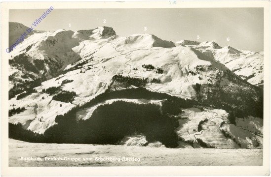 Saalbach-Hinterglemm, Penhab-Gruppe vom Schattberg-Anstieg