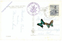 Saalbach-Hinterglemm, Jufen-Alpe