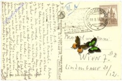 Saalfelden, Ortsansicht