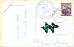 Uttendorf, Rudolfshütte mit Granatspitze und Sonnblick