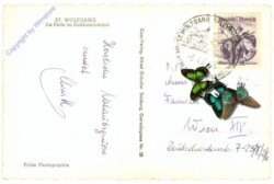 ak214518a St. Wolfgang, Multiansicht