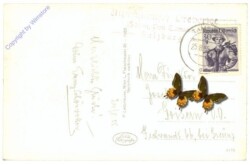 Tamsweg, Alpengasthof Prebersee geg. Preber