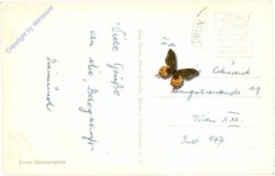 Uttendorf, Seilbahn Enzingerboden-Weißsee mit Granatspitze u. Sonnblick-Kees