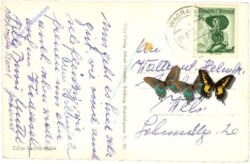 Wagrain, Wagrainer Haus