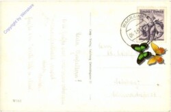 Wagrain, Ahornkarabfahrt vom Wagrainer-Haus