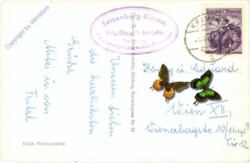 Weissbach bei Lofer, Seisenbergklamm
