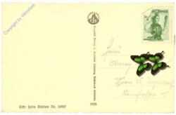 Werfenweng, g.d. Eiskögel im Tennengebirge