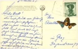 Zell am See, g.d. Schmittenhöhe