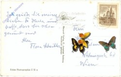 ak214599a Zell am See, g.d. Tauern