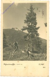 ak214609 Zell am See, Schmittenhöhe