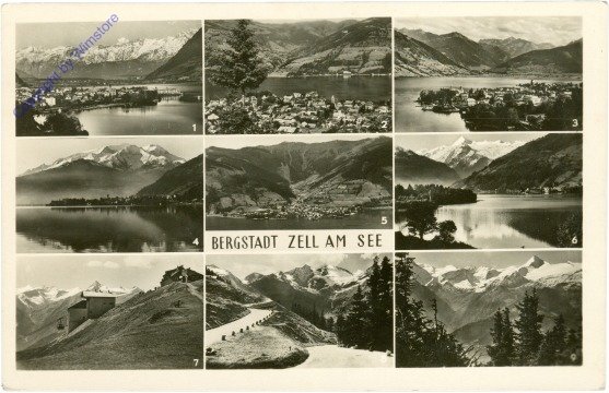 ak214630 Zell am See, Multiansicht