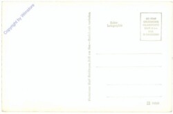 Zell am See, Thumersbach gegen Kitzsteinhorn