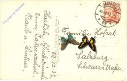 Salzburg, im Rauhreif