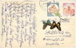 Salzburg, Aus Salzburg