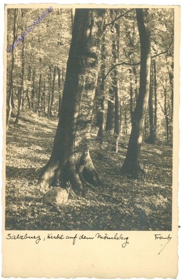 Salzburg, Herbst auf dem Mönchsberg