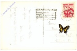 ak214768a Salzburg, mit Untersberg
