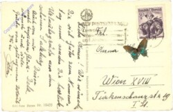 Salzburg, Dom mit Untersberg