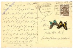 ak214801a Salzburg, Franziskanerkirche