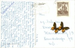 ak214813a Salzburg, Getreidegasse