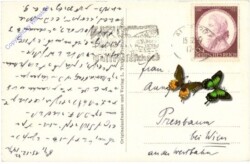 Salzburg, Schloss Mirabell, Mirabellgarten mit Blick zur Festung