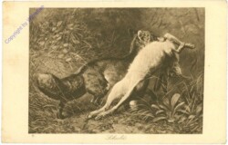 ak214884 Schuld - Fuchs und Hase