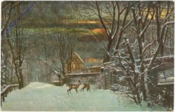 Wild im verschneiten Wald