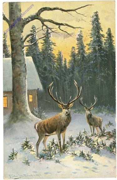 Hirsche im Winter