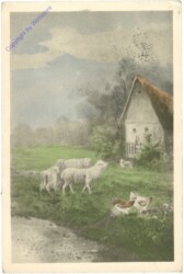 Schafe und Hühner