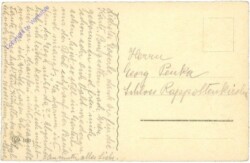ak214912a Lesender Dackel