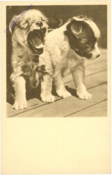 ak214916 Müde Freunde