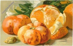 Kürbis und Orangen