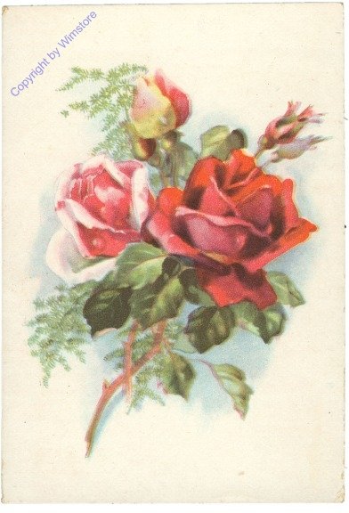 Rosensträußchen