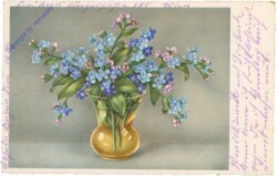 Vergissmeinnicht