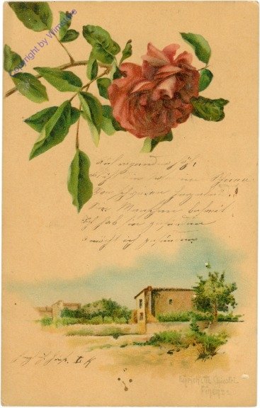 Rose