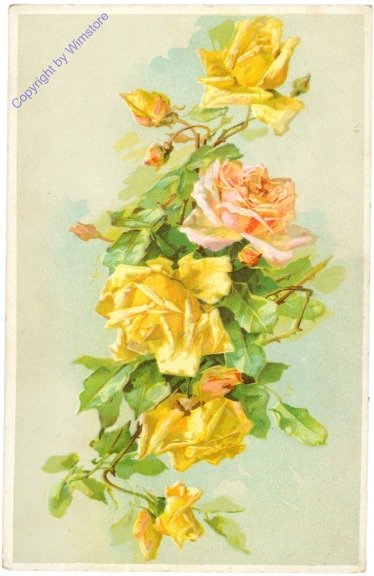 Rosen