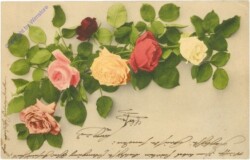 Rosen