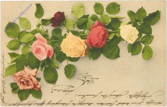 Rosen