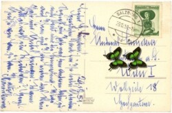 ak214968a Rauchfangkehrer