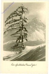 Verschneiter Baum