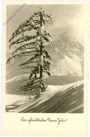 Verschneiter Baum