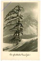 ak214974 Verschneiter Baum