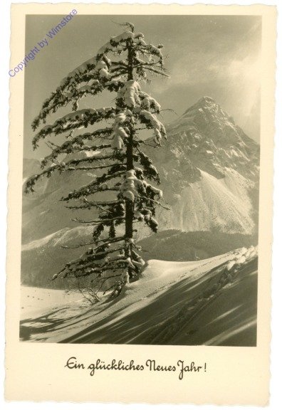 Verschneiter Baum