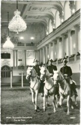Wien 1, Spanische Hofreitschule, Pas de Trois