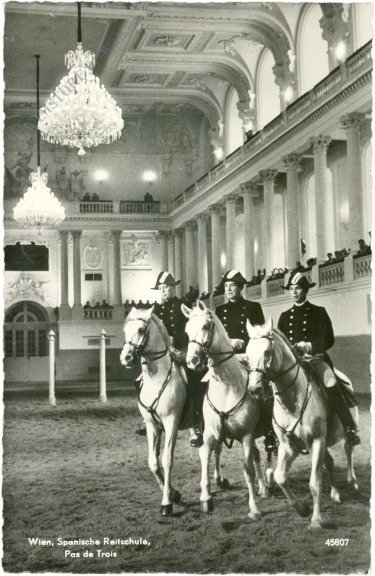 ak215047_1 Wien 1, Spanische Hofreitschule, Pas de Trois