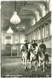 Wien 1, Spanische Hofreitschule, Pas de Trois