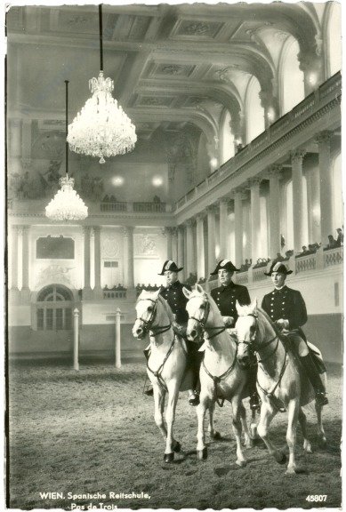 ak215048 Wien 1, Spanische Hofreitschule, Pas de Trois
