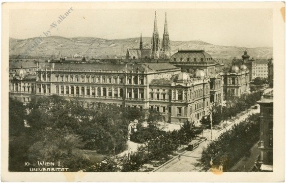 Wien 1, Universität