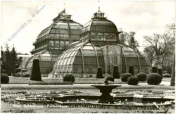 ak215254 Wien 13, Schönbrunn, Palmenhaus