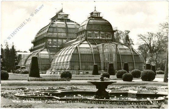 ak215254 Wien 13, Schönbrunn, Palmenhaus